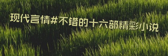 現代言情#不錯的十六部精彩小說